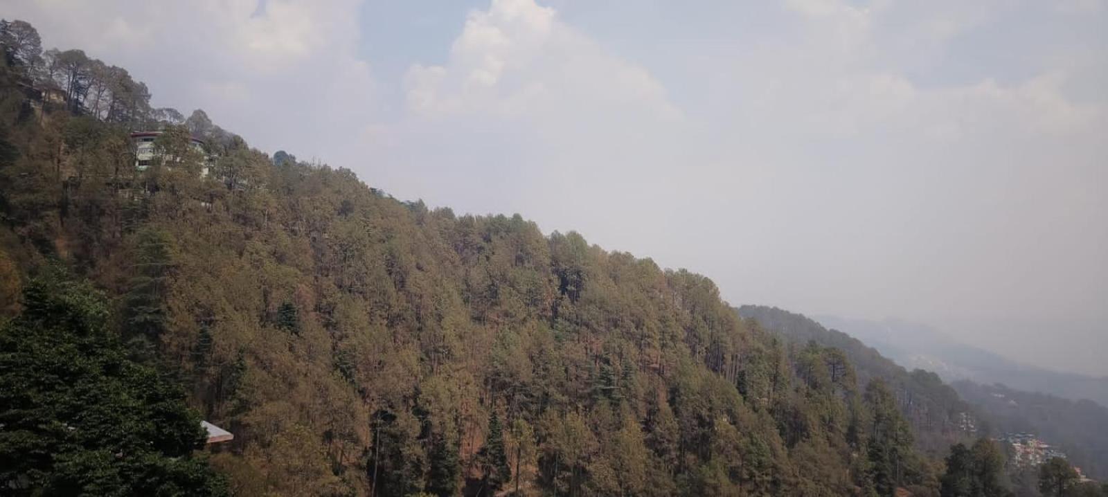 Gauri Gopal Cottage Shimla Exterior photo